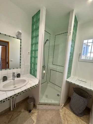 une salle de bain avec douche et lavabo dans l'établissement La Ramade Beautiful Villa with pool, au Plan-de-la-Tour