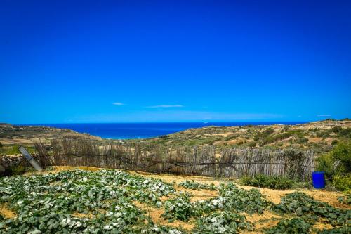 a fence with flowers and the ocean in the background at Ramla Valley Vista in Nadur with Private Pool in Nadur