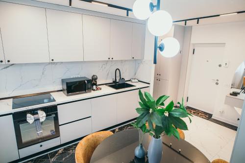 a kitchen with white cabinets and a sink and a plant at Centru Est One in Drobeta-Turnu Severin
