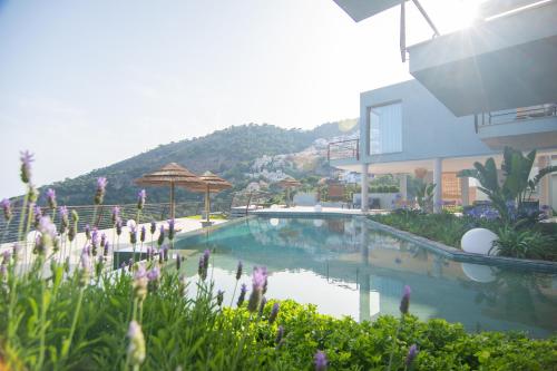 una piscina frente a un edificio con flores en Hotel Hyalma Cliff - Adults Only, en La Herradura