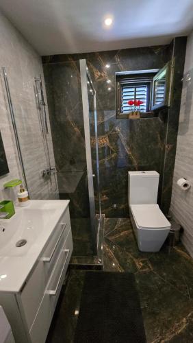 a bathroom with a toilet and a shower and a sink at Casa Draga in Radovići