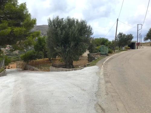 an empty road with a tree on the side of the road at Under the pine tree in Divarata