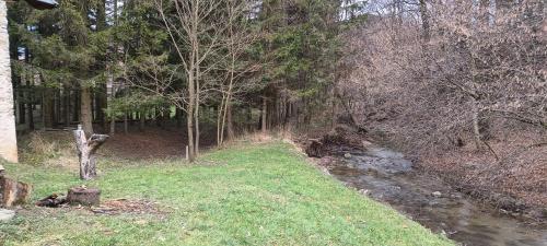 a stream in a field with trees and a river at Prém Malom Vendégház in Bakonynána