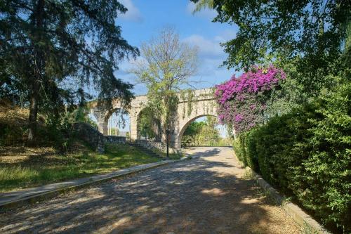 a bridge over a road with a tree with pink flowers at Marriott Puebla Hotel Meson del Angel in Puebla