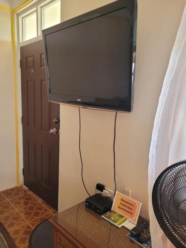 a flat screen tv hanging on a wall at Pacific View Apartment in Roseau