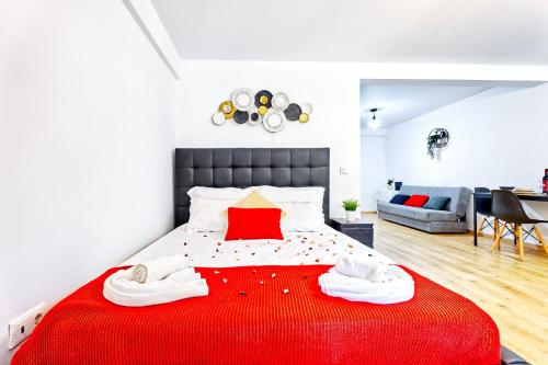 Big, cozy, central flat