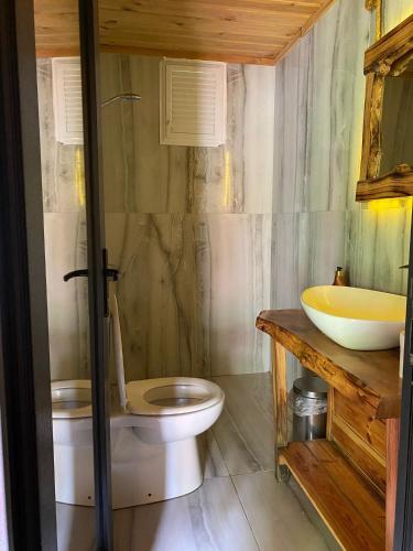 a bathroom with a toilet and a sink at Ayder Villas in Çamlıhemşin