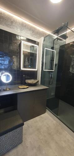 La salle de bains est pourvue d'une douche et d'un bureau avec un lavabo. dans l'établissement Bruno's 52 m2 apartment, all comforts, balcony, free parking, à Chartres