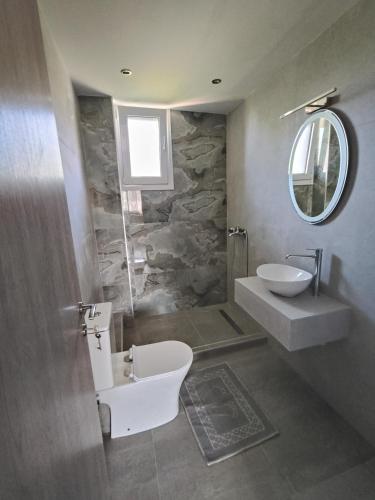 a bathroom with a toilet and a sink and a mirror at Irina's Apartment 4 in Psakoudia