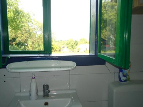 a bathroom with a sink and two windows at Casa din Dâmb in Breb