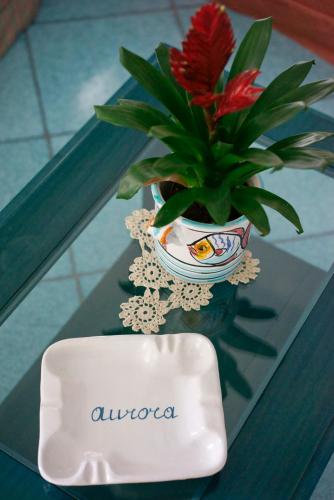 a potted plant sitting on a glass table next to a plate at Hotel Aurora in Amalfi