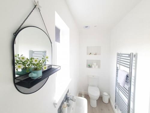 a white bathroom with a mirror and a toilet at Sea Breeze - Sea Scape View in Keiss
