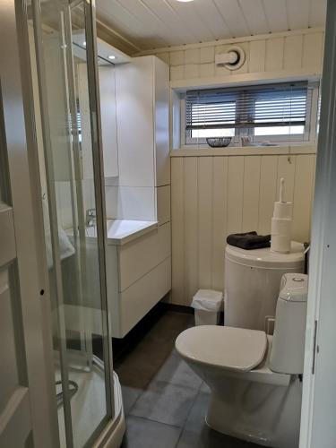 a small bathroom with a toilet and a shower at Amazing Sea House in magic Lofoten in Vestvågøya