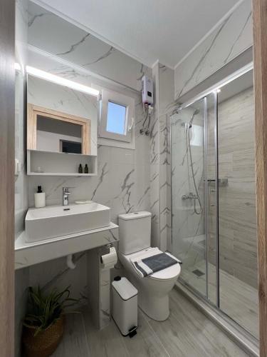 a bathroom with a toilet and a sink and a shower at John Baker's Apartments in Polychrono
