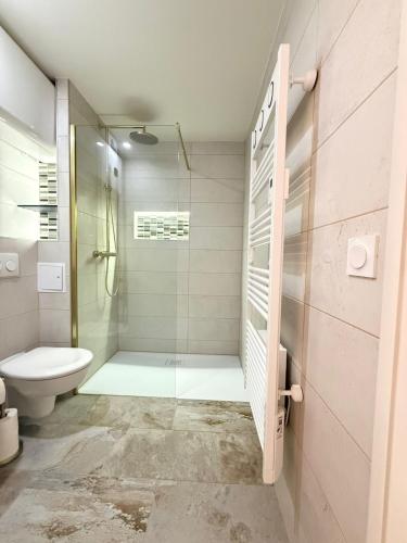 une salle de bain avec une douche en verre et des toilettes dans l'établissement Appartement avec vue sur mer, au Barcarès