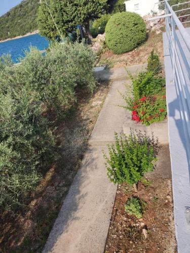 Φυσικό τοπίο κοντά σε αυτό το διαμέρισμα