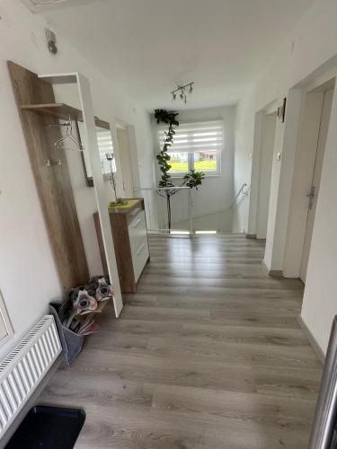 an empty hallway of an office building with a hard wood floor at Haus im Grünen in Bad Zell