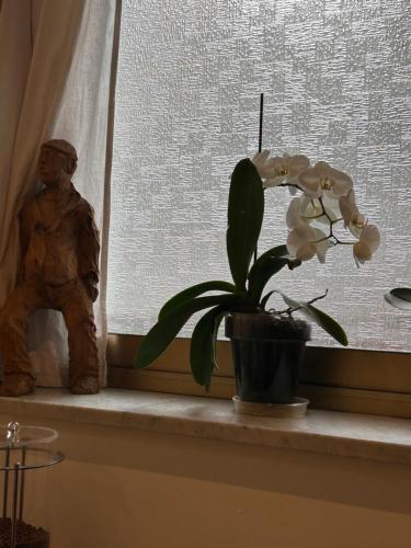 a plant sitting on a window sill next to a statue at Hotel Lukas Vegetarian & Vegan in Viareggio