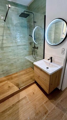 une salle de bain avec un lavabo et une douche avec un miroir dans l'établissement Exotic Garden - Studio cosy hypercentre Auxerre, à Auxerre