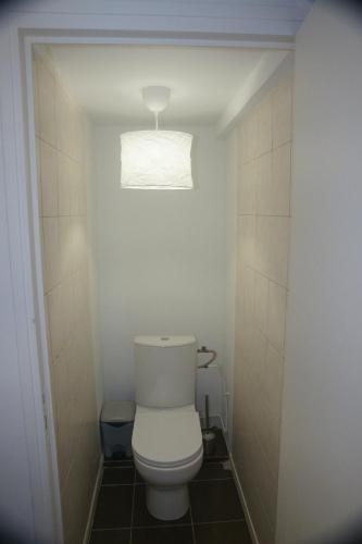 La salle de bains est pourvue de toilettes avec une lumière au-dessus. dans l'établissement La Petite maison-Caluire 45 m2, à Rillieux-la-Pape