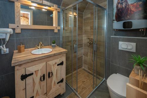a bathroom with a shower and a sink and a toilet at Wolf's PEAK in Kolašin