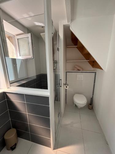 une salle de bain avec douche et toilettes dans l'établissement Maison 5p - 5mn plage - Cour privée - Climatisation, à Frontignan