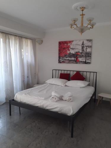 River Tirana Hostel