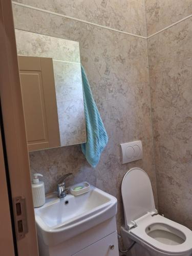 a small bathroom with a sink and a toilet at Villa Bona in Ferizaj