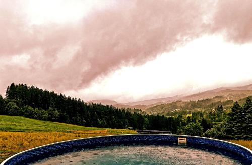 a pool of water in a field with mountains in the background at Ubytování u Verčimáků - rodinný dům se 4 ložnicemi in Mosty u Jablunkova