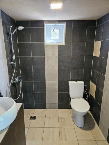 a bathroom with a toilet and a sink at Vasarnieki 24 in Ziemupe
