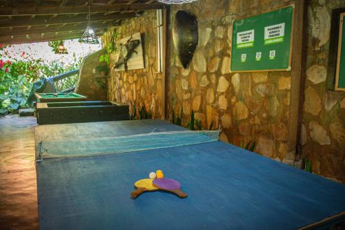 Stolní tenis v ubytování Saíra Recanto de Serra nebo okolí