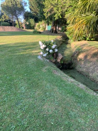 a bush of flowers on the grass in a park at La Grande Maison in Saint-Mars-dʼOutillé