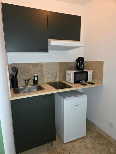 une petite cuisine avec un évier et un micro-ondes dans l'établissement Jacuzzi & Jardin privé - Suite Tropicale, à Port-Saint-Louis-du-Rhône