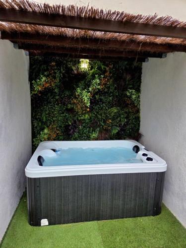 Jacuzzi & Jardin privé - Suite Tropicale