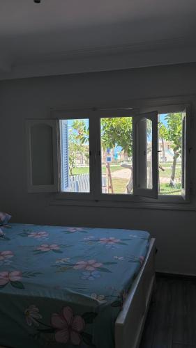 شالية محمد حسن