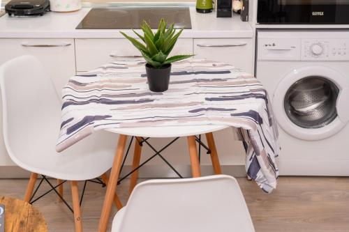 a table with a potted plant on it in a kitchen at Keis Apartments in Tirana