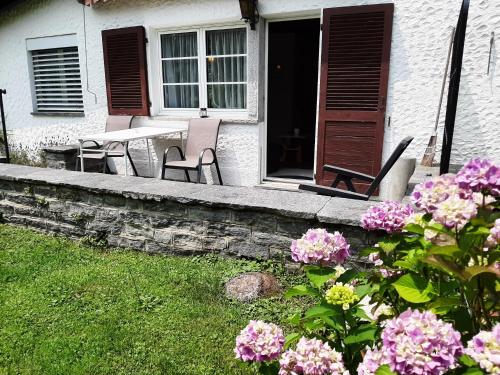Zahrada ubytování Casa Franci