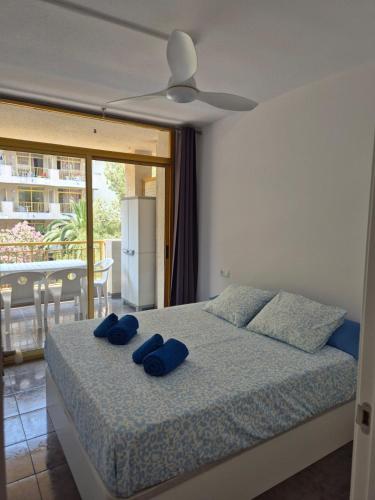 Apartamentos CT2