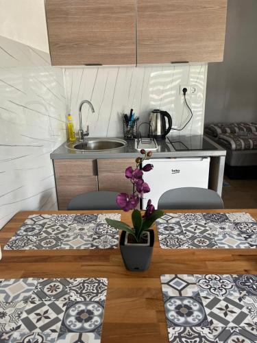 Cuisine ou kitchenette dans l'établissement Apartment View