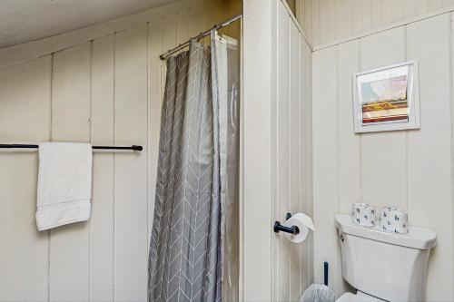 a bathroom with a shower curtain and a toilet at Monument View in Provincetown
