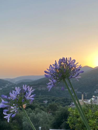 Gallery image of Vito's Parga View Apartments in Parga