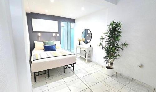 a bedroom with a bed with a mirror and a plant at Humacao - Apart, Super Central, AC, TV, Wifi, Fully Equipped in Humacao