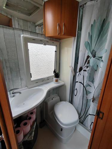 une petite salle de bain avec toilettes et lavabo dans l'établissement Séjour insolite Camping-car fixe, à Marennes