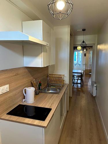 une cuisine avec un évier et un plan de travail dans l'établissement Au petit Paris - Centre Ville, à Auxerre