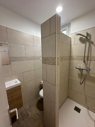 une salle de bain avec une douche avec des toilettes et un lavabo dans l'établissement Au petit Paris - Centre Ville, à Auxerre