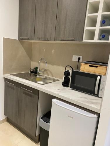 une petite cuisine avec un évier et un micro-ondes dans l'établissement Studio pour vacances, à Monteux