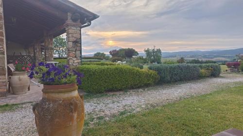 a vase filled with purple flowers sitting next to a house at Bio Agriturismo La Bell'Antiglia in Montemerano