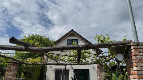 a tree branch blocking a window of a house at Comfort Garden in Dunajská Streda