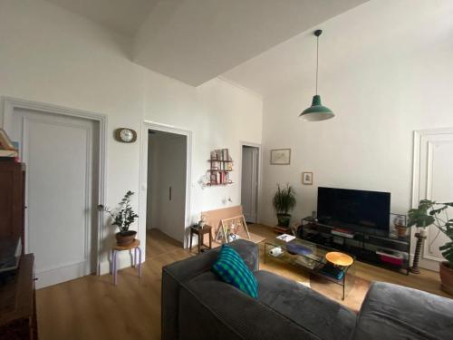 a living room with a couch and a tv at Appartement avec jardin dans un château in Lissieu