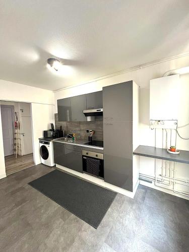 La cuisine est équipée de placards gris et d'un four avec plaques de cuisson. dans l'établissement F3 Wabi-Sabi, à Strasbourg